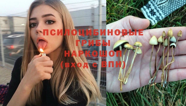 меф Армянск