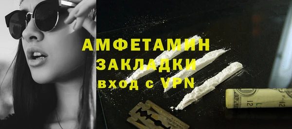 стаф Арсеньев