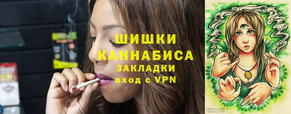стаф Арсеньев