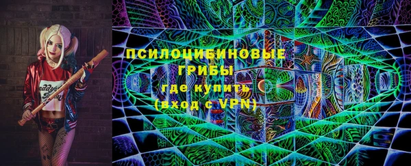 стаф Арсеньев