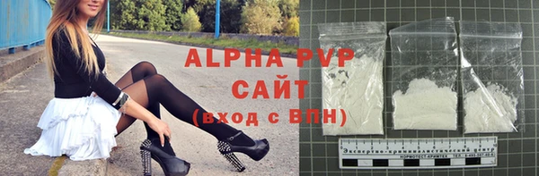 стаф Арсеньев