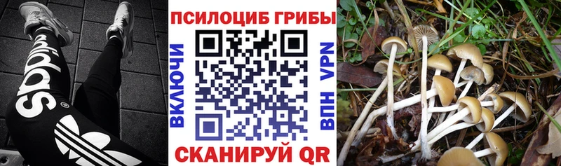 kraken сайт  Кирово-Чепецк  Галлюциногенные грибы мицелий  наркошоп 