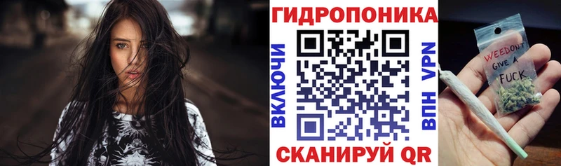гидра tor  Кирово-Чепецк  Бошки марихуана семена 